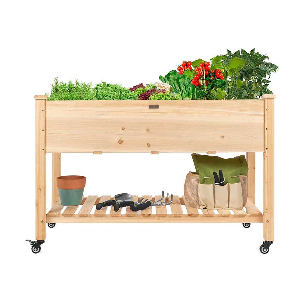Rolling tree planter - TrendFynd